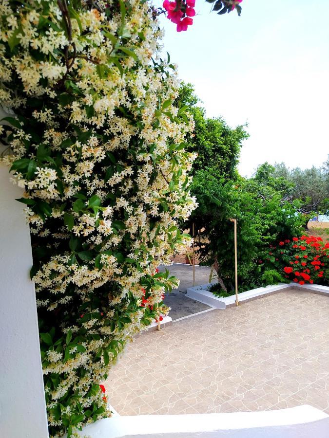 Villa Stella Family House Pefki  Экстерьер фото